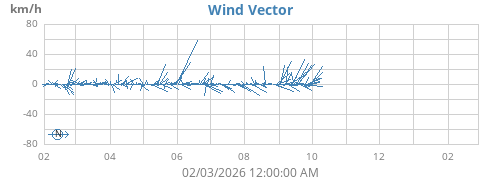 yearwindvec